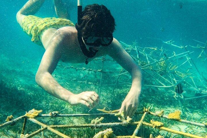 Amanti dello snorkeling per tutte le età e pranzo a base di pesce premium a Punta Cana