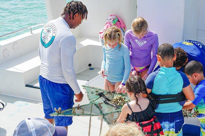 Amanti dello snorkeling per tutte le età e pranzo a base di pesce premium a Punta Cana
