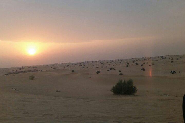 Evening Desert Safari Tour With Live Enterterment And BBQ Dinner