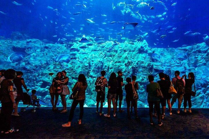 Hurghada Grand Aquarium Tour med Skip the Line Ticket