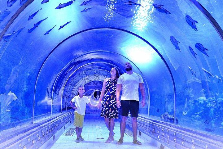 Hurghada Grand Aquarium Tour med Skip the Line Ticket