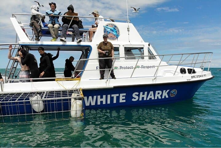 Shark Cage Diving and Whale Watching Combo Experience in Gansbaai