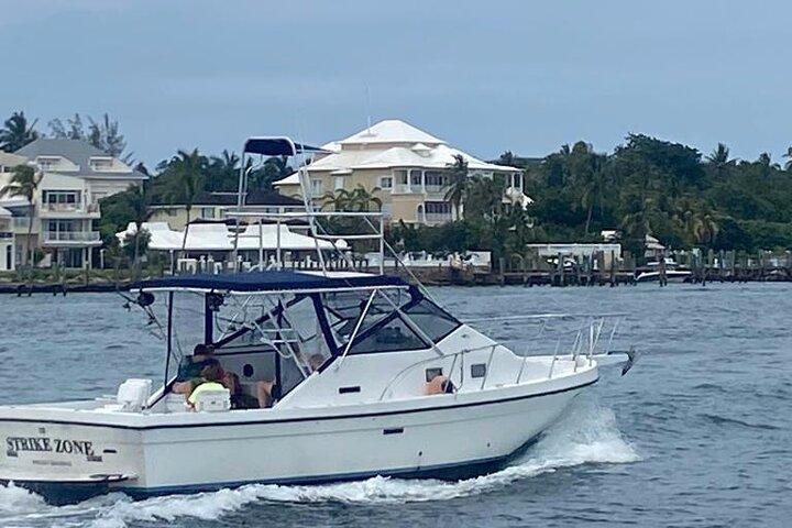 Privat 38' Defender Sportfishing/Sim med grisar i Nassau