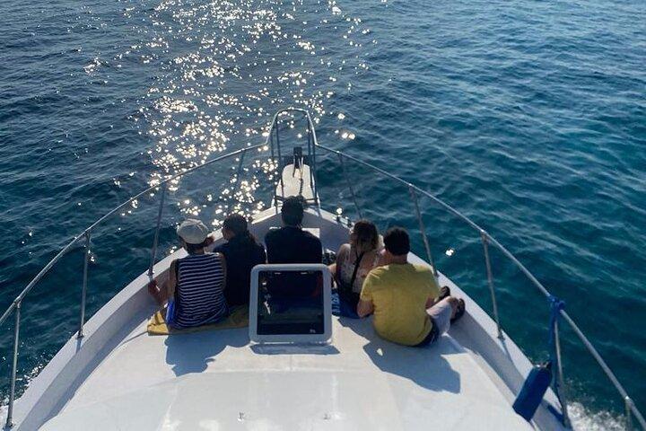 Privat 38' Defender Sportfishing/Sim med grisar i Nassau
