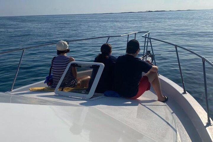 Privat 38' Defender Sportfishing/Sim med grisar i Nassau
