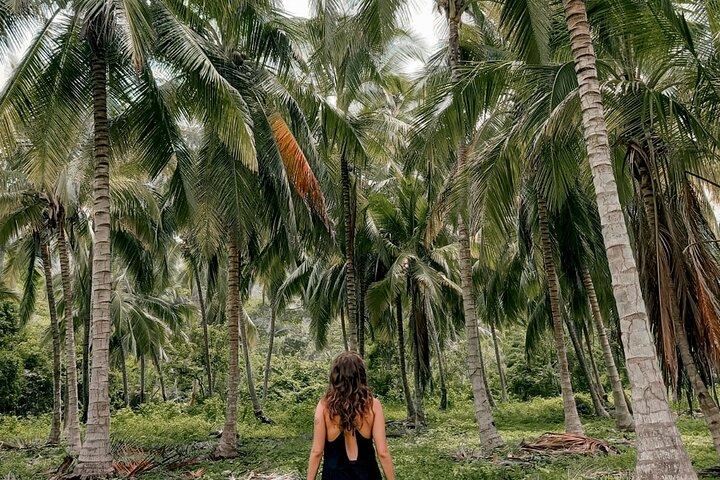 Tayrona Park Wanderung nach Cabo San Juan: Privat oder gemeinsam