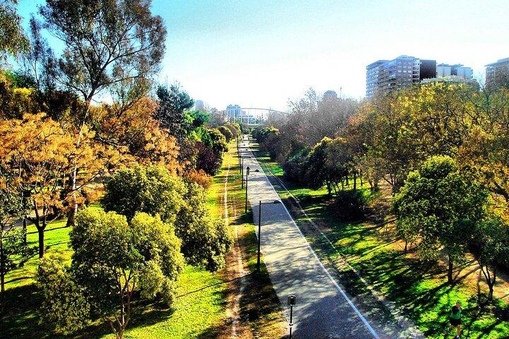 Eksklusiv 2-timers privat cykeltur i Valencia