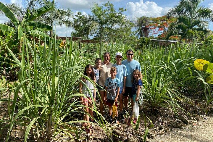 Excursão compartilhada de meio dia em Punta Cana com guia local
