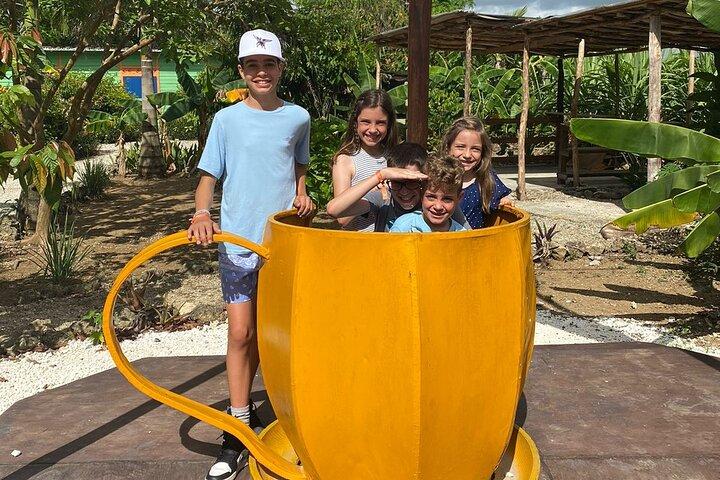 Excursão compartilhada de meio dia em Punta Cana com guia local