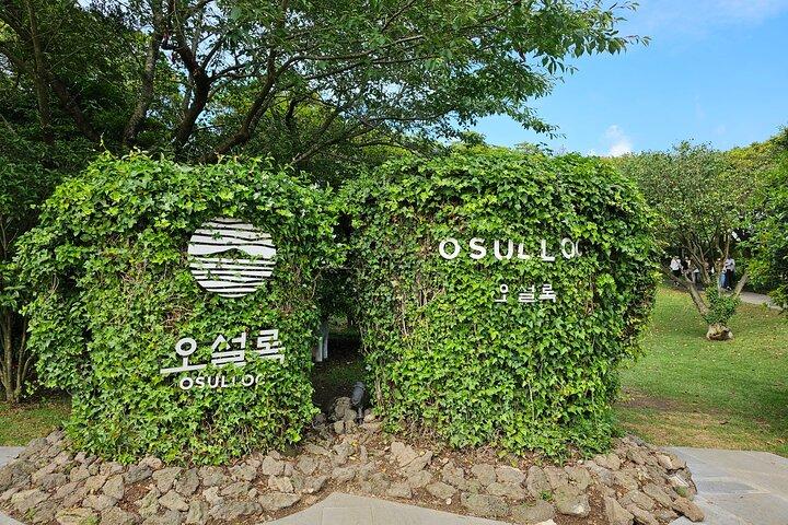 Excursão privada de dia inteiro - oeste e sul da ilha de Jeju