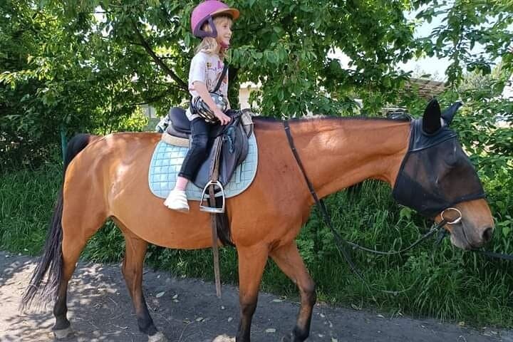 Private Horse Riding Safari Adventure in Nairobi