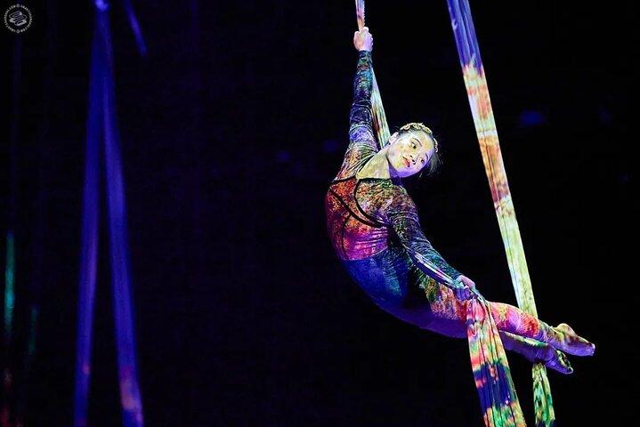 Shanghai Must-See acrobatiekshow met privétransfer