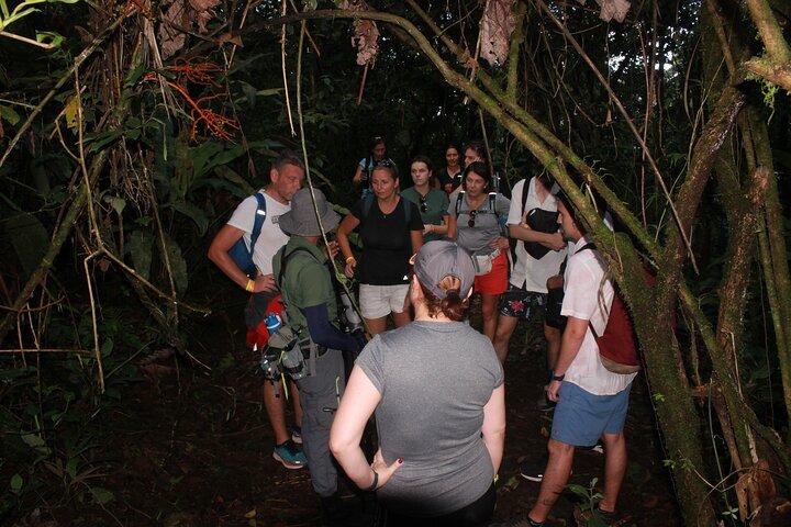 Randonnée nocturne Arenal - Serpents, Grenouilles et Faune