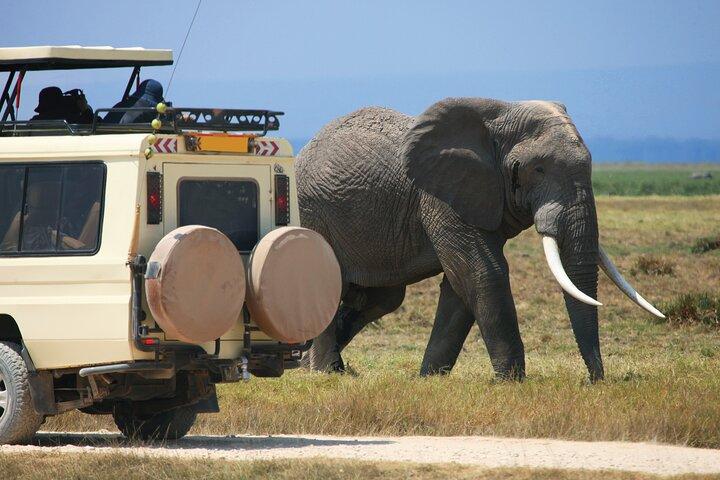 Heldags privat äventyr i Tarangire National Park