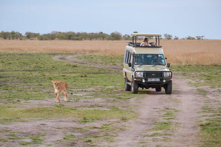 Heldags privat äventyr i Tarangire National Park
