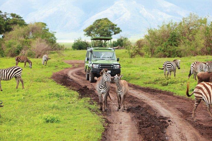 Heldags privat äventyr i Tarangire National Park
