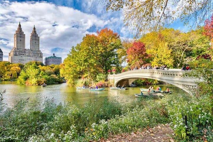 Pedicab Trips in Central Park