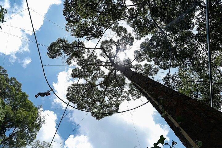 Jungle Flight Zipline Adventure fra Chiang Mai