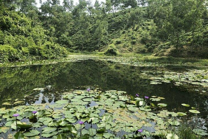 Tour privato di Srimangal e Sylhet di più giorni da Dhaka
