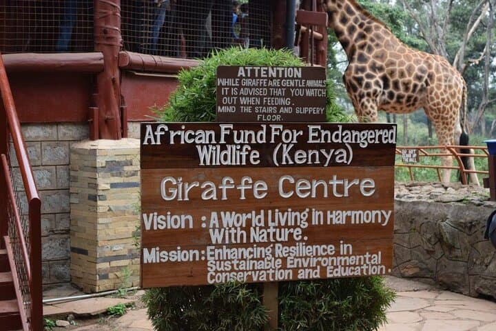 Private Tour In Giraffe Centre in Nairobi
