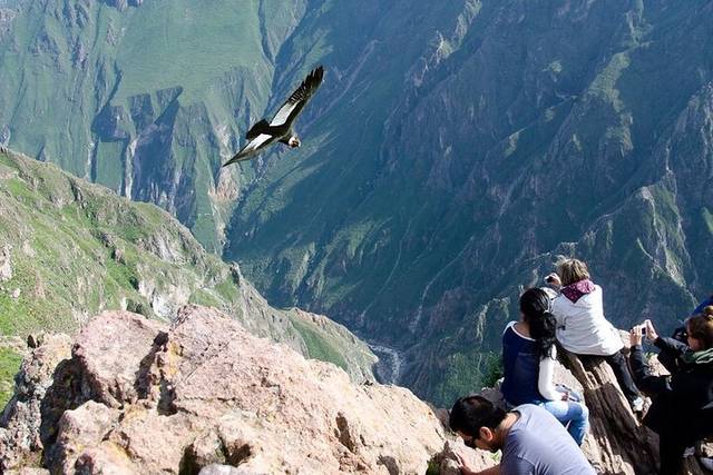 Colca Canyon