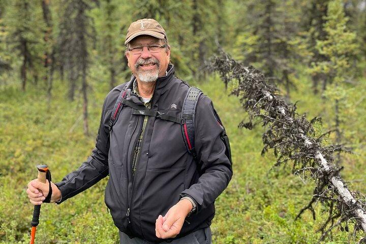 Randonnée dans la nature du parc Denali (3 heures) avec naturaliste expert