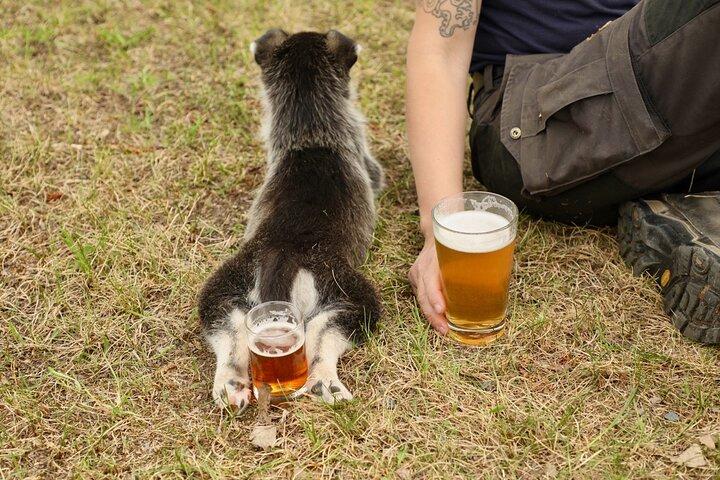 フェアバンクスでのビールと子犬のガイド付き 1.5 時間体験