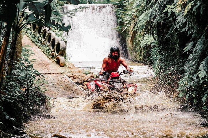 ウブドATVクワッドバイクアドベンチャー(ゴリラ洞窟とランチ付き)