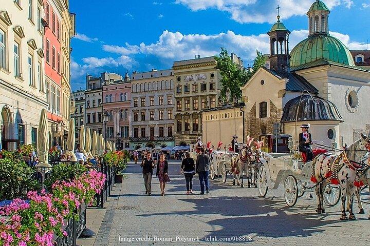 Krakau an einem Tag: Private Wanderung mit Schloss Wawel