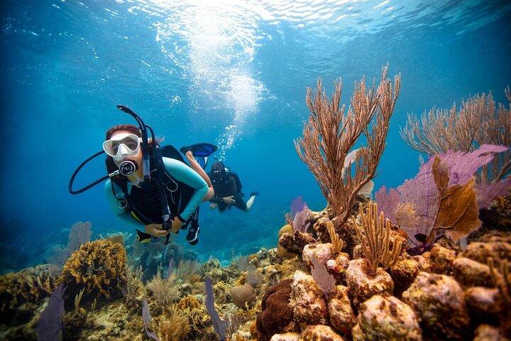 Duiken bij Jumeirah Dubai met privétransfers