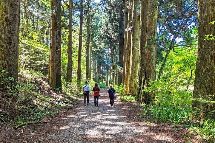 Private Hakone Tour - View of Mt. Fuji, Nature and Culture