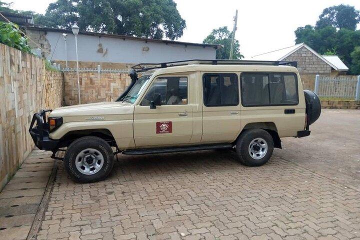 Tour privato di 5 giorni Mikumi National Park e Selous Game Reserve