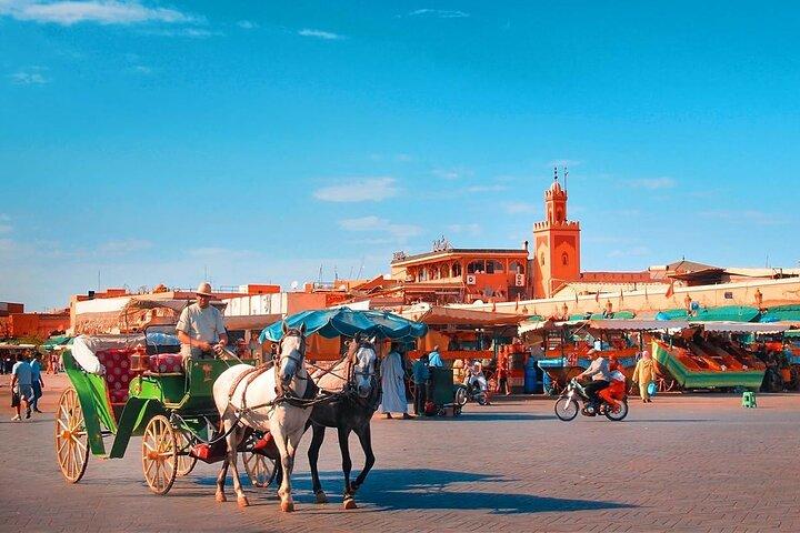 Marrakech Medina Tour med privat Vejleder (Private Tour)