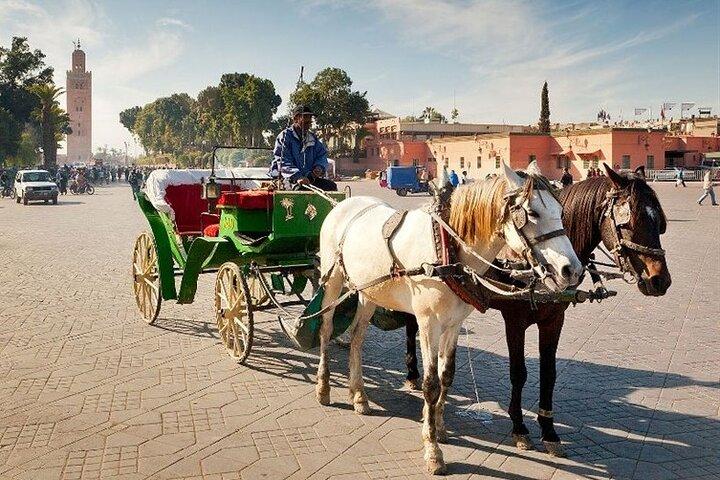 Marrakech Medina Tour med privat Vejleder (Private Tour)