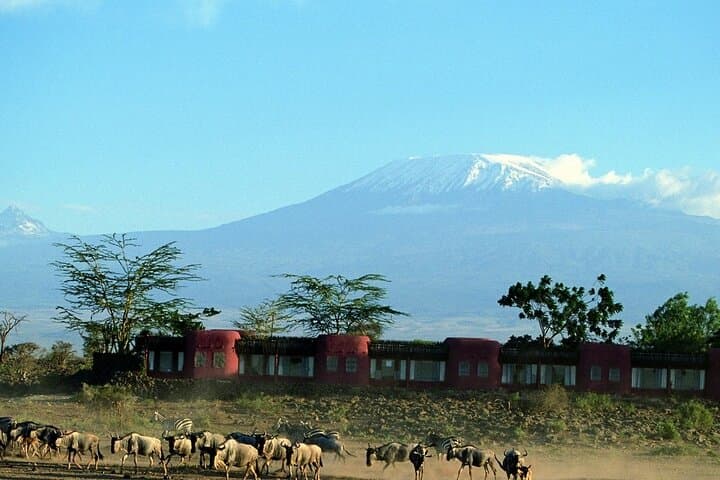 Overnight Tour in Amboseli National Park from Nairobi