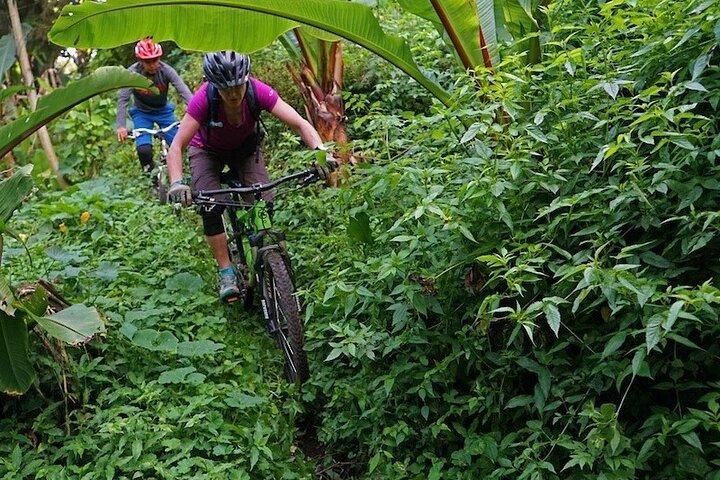 Mountain bike privata di 3 ore a Galle