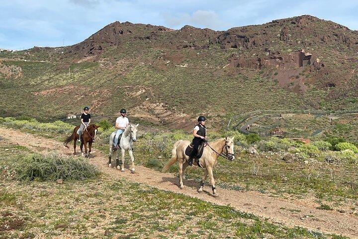 Afslappende ridetur på Gran Canaria