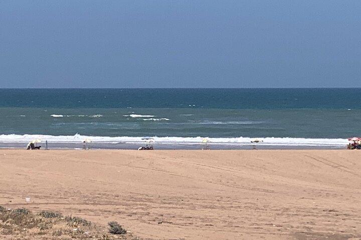 Essaouira city day trip from Marrakech