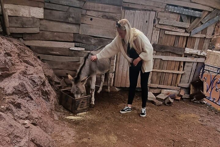 Private Tour in Atlas Mountain and 3 Valleys with Camel Ride