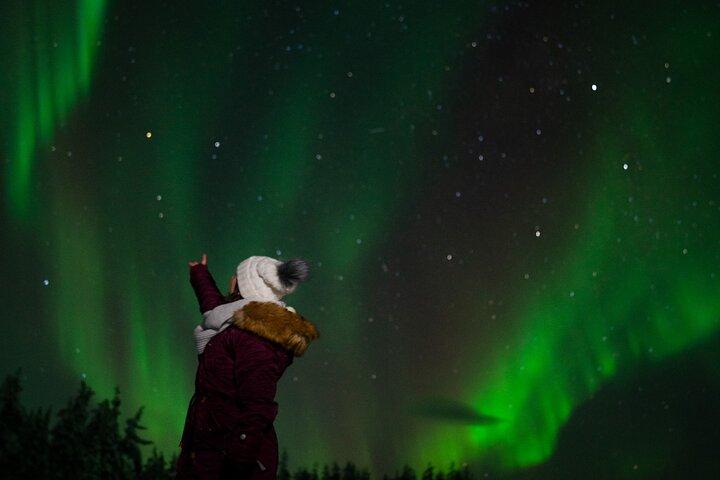 Rovaniemi: Northern Lights Tour