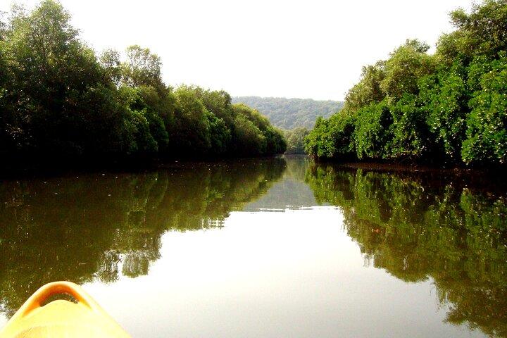 Caiaque em Goa Spike's Salonia Backwaters Kayaking Experience