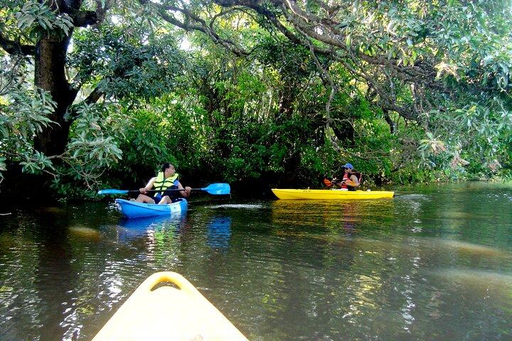 Caiaque em Goa Spike's Salonia Backwaters Kayaking Experience