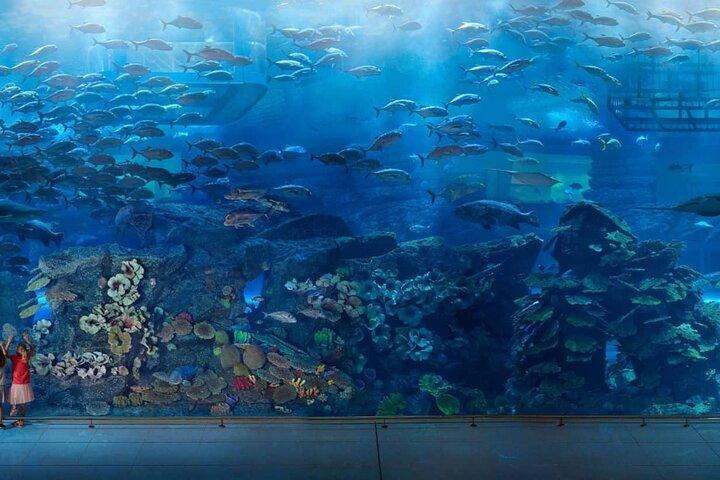 Dubai Mall Aquarium & Underwater Zoo Tickets met privétransfer