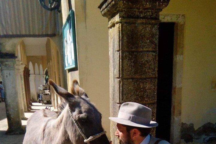 Durrells história meio dia