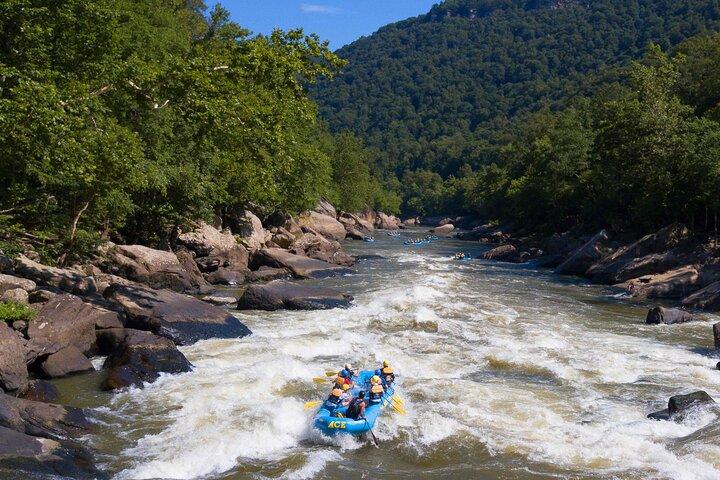 Halve dag New River Gorge wildwaterraften