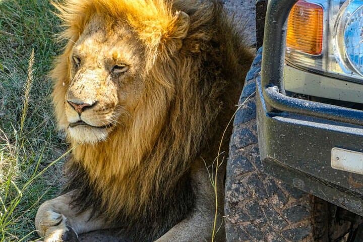 3 Days Private Masai Mara Safari