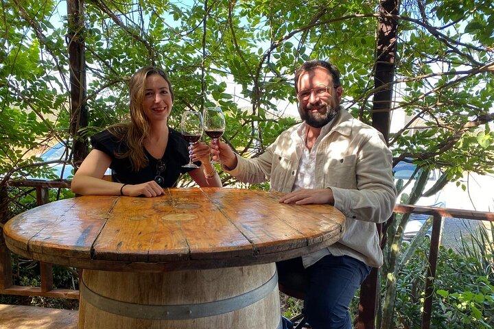 Visite privée dans la vallée de Guadalupe, vignobles et route des vins ENS MX