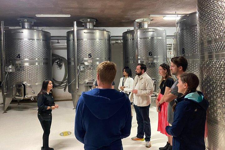 Visite privée dans la vallée de Guadalupe, vignobles et route des vins ENS MX