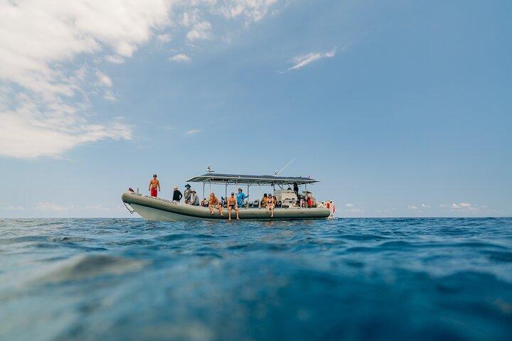 Esperienza di snorkeling Super-Raft di 4 ore a Kailua-Kona