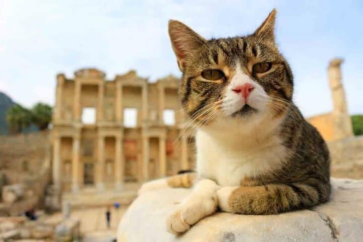 Best-Seller: EPHESUS PRIVATE TOUR From Cesme Port or Izmir Port